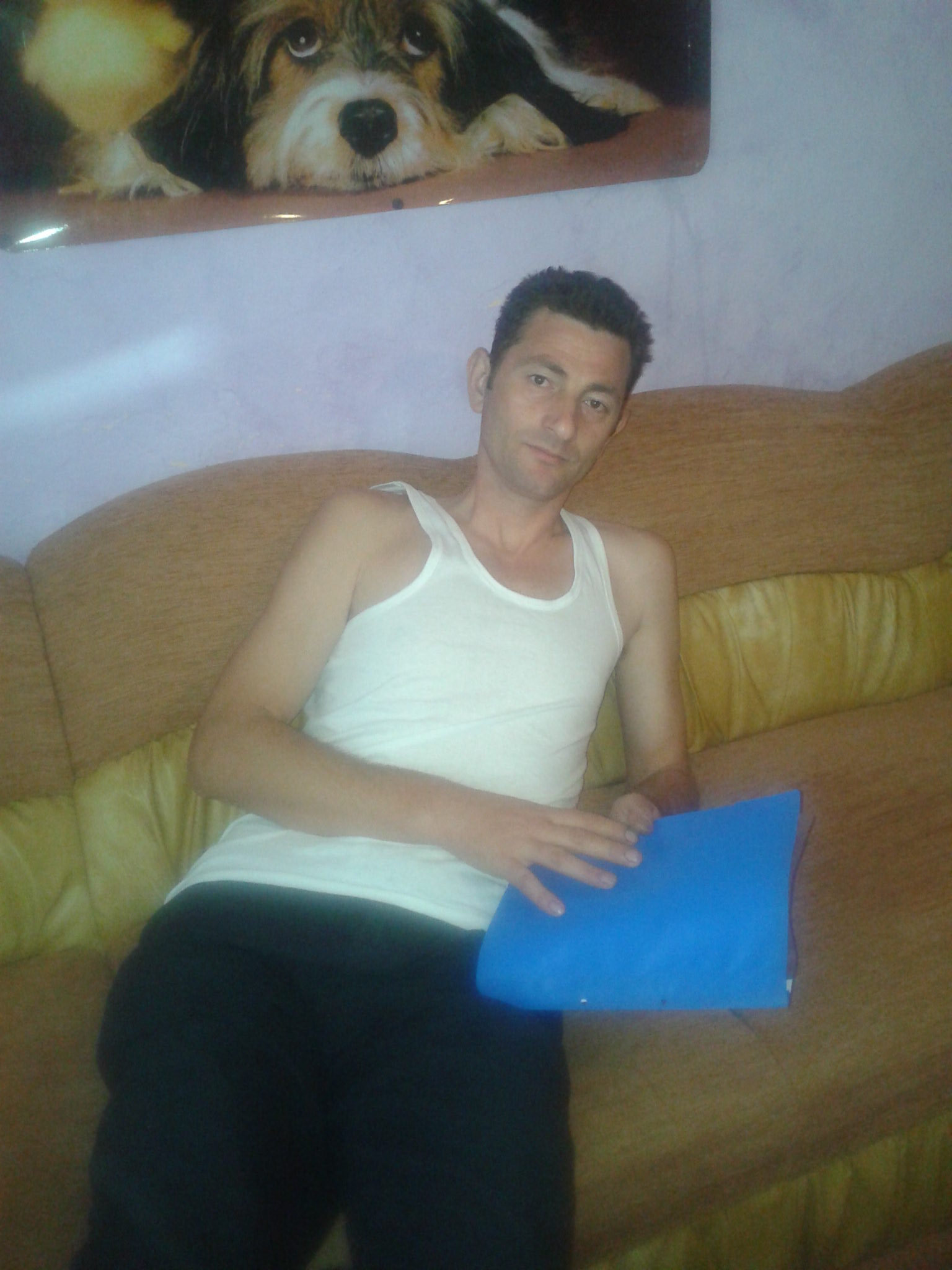 nelu