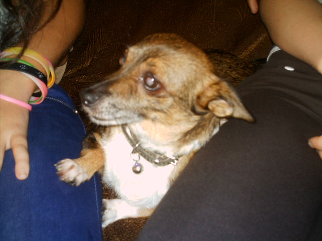 george